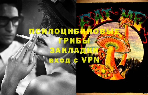 a pvp Богданович