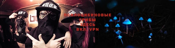 метадон Богородицк