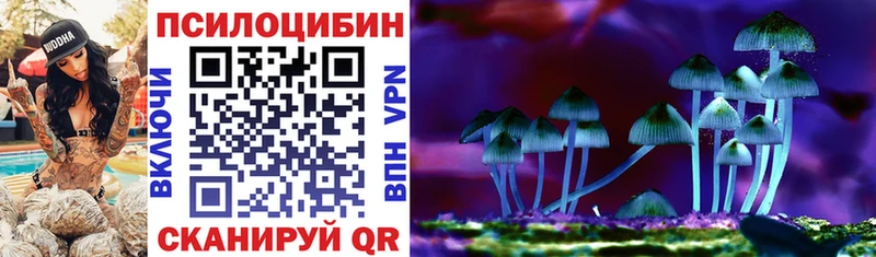 Псилоцибиновые грибы GOLDEN TEACHER  хочу   Трубчевск 